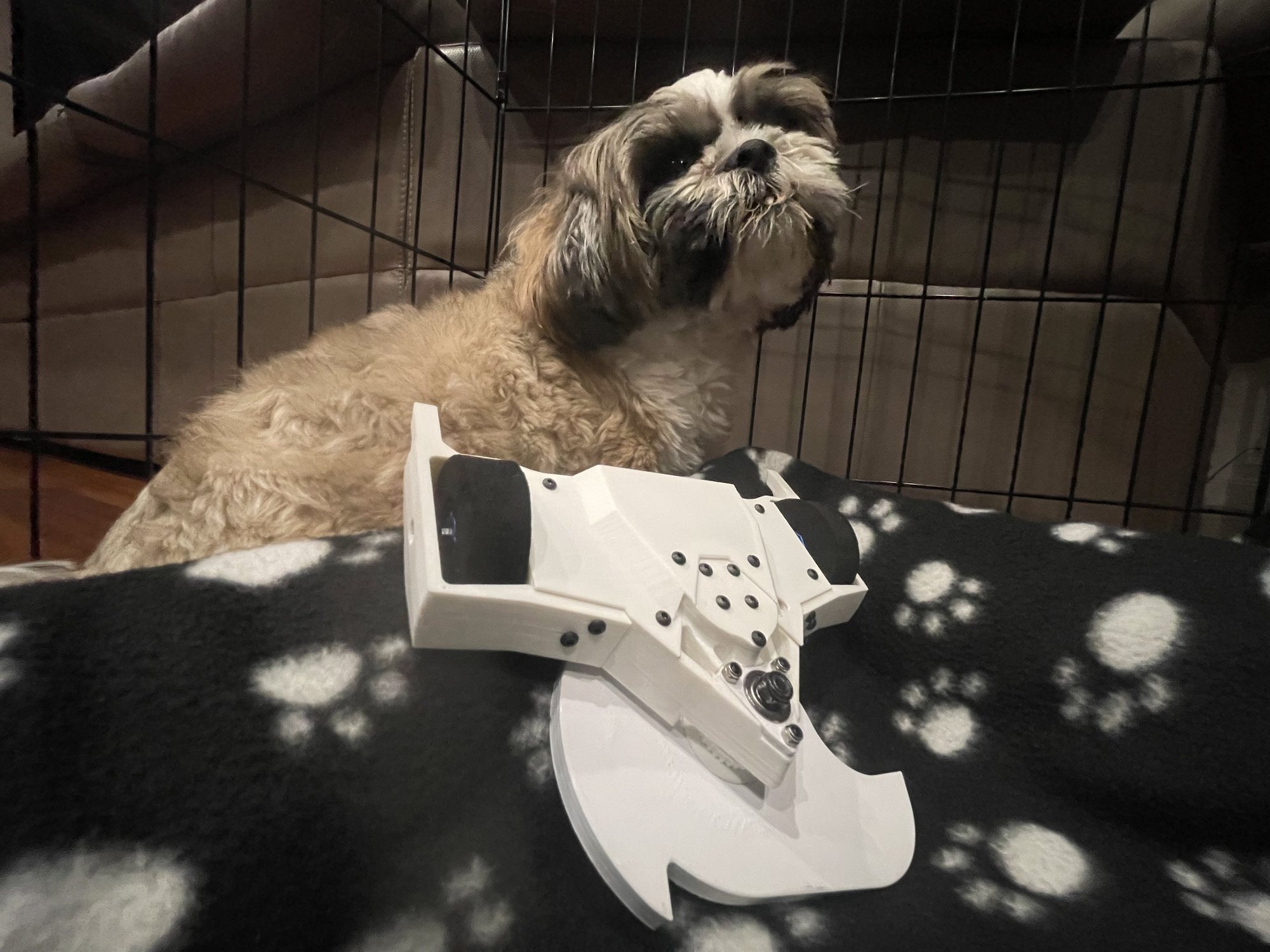 Achilles plastic robot with Kyle's dog Mocha